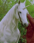 cap122001.jpg