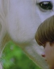 Filename=cap122201.jpg
Filesize=267KiB
Dimensions=1920x1088
Date added=Dec 29, 2023 cap122201.jpg