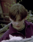 cap31851.jpg