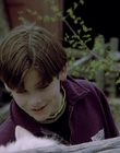 cap31876.jpg