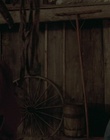 cap32926.jpg