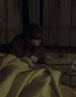 cap44051.jpg