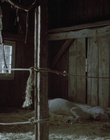 Filename=cap49151.jpg
Filesize=342KiB
Dimensions=1920x1088
Date added=Dec 29, 2023 cap49151.jpg