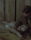 cap49426.jpg