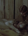 cap49451.jpg