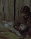cap49476.jpg