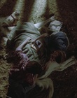 cap52426.jpg
