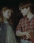 cap54151.jpg