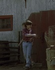 cap54701.jpg