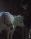 cap59526.jpg