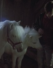cap59551.jpg