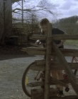 cap63351.jpg