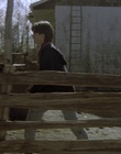 cap63426.jpg