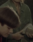 cap66276.jpg