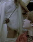 cap74026.jpg