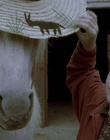 cap74076.jpg