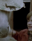cap74101.jpg