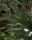 cap77726.jpg