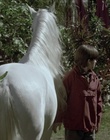 cap78976.jpg