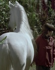 cap79001.jpg