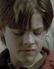 cap79151.jpg