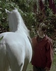 cap79176.jpg