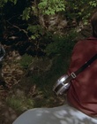 cap98776.jpg