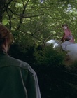 cap99476.jpg