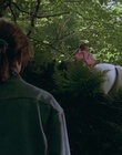 cap99501.jpg