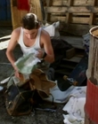 1999_-_Four_Days_mp40600.jpg