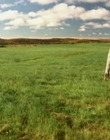 1999_-_Four_Days_mp41670.jpg
