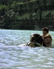 1999_-_Four_Days_mp44638.jpg