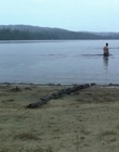 Filename=1999_-_Four_Days_mp44727.jpg
Filesize=462KiB
Dimensions=1920x1080
Date added=Dec 29, 2023 1999_-_Four_Days_mp44727.jpg