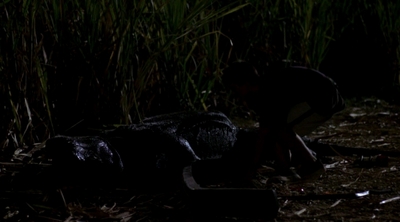 1999_-_Komodo_mkv4072.jpg