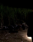 Filename=1999_-_Komodo_mkv4043.jpg
Filesize=124KiB
Dimensions=720x400
Date added=Dec 29, 2023 1999_-_Komodo_mkv4043.jpg
