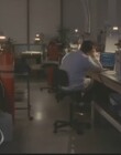 secondgeneration_2829329.jpg