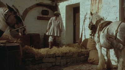 1999_-_Treasure_Island_mp42018.jpg