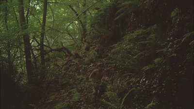 1999_-_Treasure_Island_mp43163.jpg