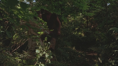 1999_-_Treasure_Island_mp44107.jpg