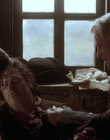 1999_-_Treasure_Island_mp40900.jpg
