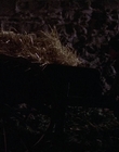 1999_-_Treasure_Island_mp41357.jpg