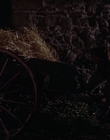 1999_-_Treasure_Island_mp41358.jpg