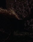1999_-_Treasure_Island_mp41359.jpg