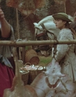 Filename=1999_-_Treasure_Island_mp41767.jpg
Filesize=1027KiB
Dimensions=1920x1080
Date added=Dec 29, 2023 1999_-_Treasure_Island_mp41767.jpg