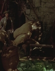 1999_-_Treasure_Island_mp41966.jpg