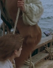 Filename=1999_-_Treasure_Island_mp42413.jpg
Filesize=980KiB
Dimensions=1920x1080
Date added=Dec 29, 2023 1999_-_Treasure_Island_mp42413.jpg