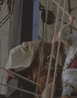 1999_-_Treasure_Island_mp42530.jpg