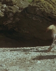 1999_-_Treasure_Island_mp43120.jpg