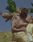 1999_-_Treasure_Island_mp43136.jpg