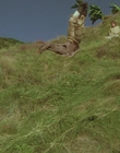 1999_-_Treasure_Island_mp43137.jpg
